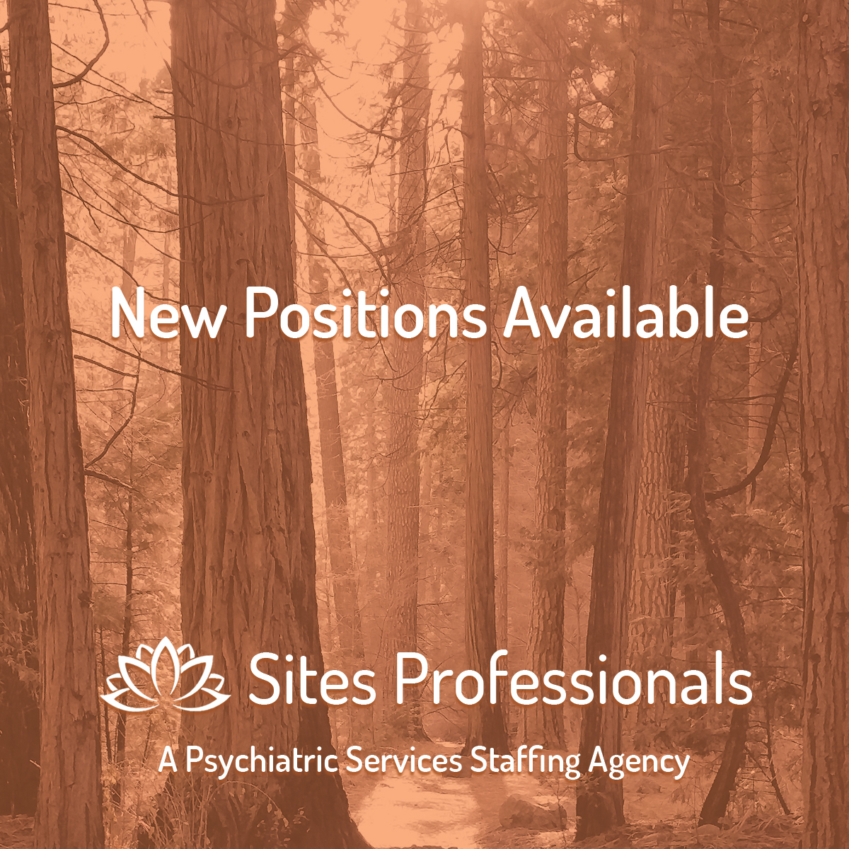New Positions Available – May 2019
